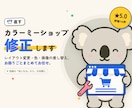 カラーミー　【カラーミーショップ】　の修正をします カラーミーショップでお困り事・修正・レイアウト変更致します イメージ1