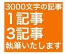 SEOに有利な3000文字のブログ記事を執筆します 4年の執筆経験があるライターが記事を作成します。 イメージ1