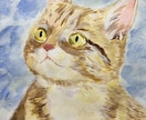 可愛いペットの絵、アクリル絵の具で描きます 格安キャンペーン中！！大切なペットの絵画はいかがですか？ イメージ7