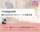 魅力を引き出すインスタプロフィール文章作成します ターゲットに刺さりファン化を促進！アカウントグロースに貢献 イメージ1