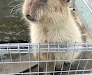 3日間（1日3往復程度）毎日メッセージで雑談します 日常のたわいのない話でも愚痴でも気軽に色々お話ください！ イメージ8