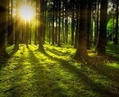 あなたのお悩み何でも聞きます 小さな悩みから深刻な悩みまでお気軽にお話ください。 イメージ3