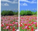 携帯で撮ったお写真を綺麗に明るく華やかに調整します 携帯で撮影が苦手な方や、明るく綺麗に撮れない！という方 イメージ3