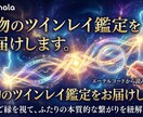 本物の【ツインレイ鑑定】をお届けします 魂の縁コードで本物の絆を読み解く イメージ3