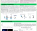学会ポスター作成を代行します ✴︎1週間以内で学会発表ポスターを納品できます✴︎ イメージ5