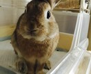 心の悩み聞きます いま辛いこと、苦しいこと何でも聞きます。 イメージ1