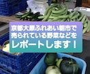 京都大原ふれあい朝市の販売品をレポートします 京野菜、漬物、手芸品、鯖寿司、軽食などが売られています イメージ1