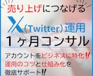 X（Twitter）運用の収益化コンサルします 【投稿しても売れない…そんなあなたへ】販売15件まで特別価格 イメージ1