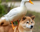 あなたの夢・物語・設定をAIで映像化します 作風や実績はYouTubeで確認できます イメージ14