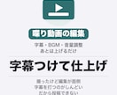 喋り動画に字幕とBGMを入れて仕上げます YouTube・stand.fm・Shorts対応 イメージ1