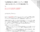 SEO対策・戦略レポートを提供します 安心品質でまるなげOK！ターゲットの本音を徹底的に解剖します イメージ2
