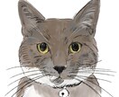写真をイラストに描きおこします 写真を元に、抜け感のあるおしゃれなイラストに描きおこします。 イメージ9