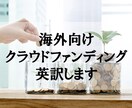 海外向けクラウドファンディングの英訳/翻訳します 現役イギリス人教授×日本人ライターでお安く品質保証！ イメージ1