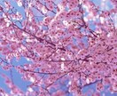 様々なお話をじっくり聞かせていただきます 人生の悩み。人間関係、恋愛について、勉強、受験相談も イメージ1