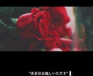 一味違う★レトロ風オープニング動画を制作します ゲストの心がワクワク躍るオープニング動画⭐︎記念価格⭐︎ イメージ5