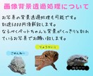 あなたの可愛いペットのLINEスタンプ制作します 愛するペットがいる方！あなた専用スタンプ使用しませんか！？ イメージ4