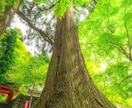 とにかく聞いて欲しい事なんでも話しを聞きます なんでも話してスッキリしませんか？ イメージ1