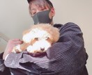 優おじがあなたのお話し聞きます 色々な経験をしてきた優おじにあなたのお話しお聞かせください★ イメージ1