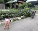 中卒社長があなたのお悩みを解決致します 中卒、糖尿病、いじめられっ子でも幸せになれたコツをバラします イメージ4