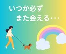 ペットロスでつらい方へ|寂しいお気持ちお聞きします 病気で愛犬を亡くした私だからこそわかる思い、聞かせて下さい イメージ1