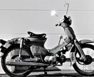 バイクの整備が出来初めてでOK最初からお教えします 初めてでOK最初からお教えします イメージ1
