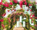 今好きな人の私への気持ち占います 恋愛運や仕事運などタロットで占います。 イメージ1