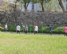 静岡市内で撮影した写真を売ります 静岡市内で撮影しました。駿府城公園等です。 イメージ4