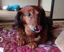 相談乗ります 誰かの役に立てれば嬉しいです！ イメージ1
