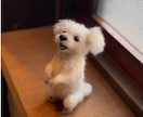 羊毛フェルトで大切な「うちのこ」をお作りします 写真などからその子らしさを丁寧に形にします イメージ2