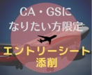 航空会社のエントリーシート【CA・GS】添削します 元CA・現役面接対策講師が納得がいくまでとことん付き合います イメージ1