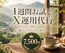 旅行・グルメのX運用を1週間お試し代行しますます 本契約の前に、投稿の雰囲気を確認できます イメージ1