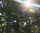 話、聴きます。聴かせて頂きます 日常の些細な事から仕事の悩み、話し相手&相談乗ります。 イメージ1