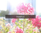 一眼レフ撮影●自然・景色の写真素材を提供します バナー画像にあるような、「一瞬の美しさ」をお届けします。 イメージ7