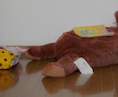 Sなオカメインコが人間の姿であなたを楽しく癒します オカメインコが人間の女の子になりました!男性OK イメージ6