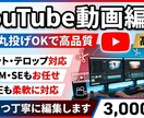 YouTube・SNS用の動画編集いたします クオリティの高い動画を作成いたします！ イメージ1