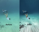 水中写真をLightroomで美しく補正します 水中写真の色補正・レタッチならお任せください イメージ5