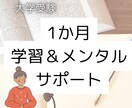 1か月間学習＆メンタルサポートをします 集中力がない、メンタルが不安定とお悩みの方へ イメージ1