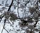 愚痴、悩み、なんでも聞きます 人の話を聞くことが好きなのでどんな話でも聞きます イメージ1