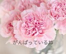 家庭教師・シングルマザーが子育て心理相談受けます 不妊産後|病気|発達特性才能|不登校PTA|反抗期|進学自立 イメージ3
