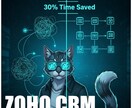 ZOHOCRM/Campaignのお悩み回答します 管理工数30%削減の実績者が具体的にアドバイス イメージ1