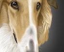 愛犬、ペットの似顔絵を描きます 可愛いペットの似顔絵をリアルタッチで描いています イメージ7
