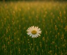 見守る存在に【使命】ききます ✨なんとなく疑問があったり使命を知りたい方に✨ イメージ1