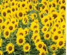 いつでもおかえりなさいと優しく寄り添います 今日の嬉しかった事、辛い、大変、何でも聞かせて下さいね♡ イメージ10
