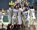 お子さんの野球に役立つ練習法をお伝えします 野球上達に興味のある方へ悩み解決致します。 イメージ1