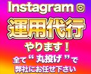 SNS運用歴10年のプロがインスタ運用代行をします 企業様からのご依頼多数！『丸投げ運用代行』で集客をサポート！ イメージ1