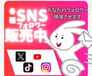 YouTubeチャンネル登録者1000人増やします 独自のノウハウであなたのYouTubeを伸ばします。 イメージ2