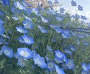 離れてしまった心を結び直します 〜 別れてしまったあの人との「ご縁・本音・未来の可能性」〜 イメージ1