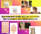 即日納品・商用利用可！背景透過・白抜きします ロゴ・商品写真・VTuber素材に！白抜き加工お任せください イメージ6