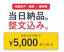 当日納品！音声を文字起こしします 整文！音声の長さに限らず5000円ポッキリ！ イメージ1