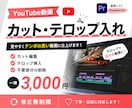動画のカット作業、テロップ入れます 修正無制限！一律料金で用途は問いません。 イメージ1
